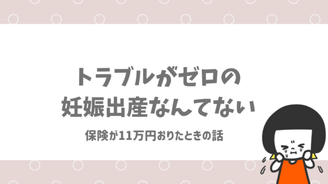 体験談 妊活前に医療保険に加入しておいてよかった って話 子育て中のママの片付け力がアップするブログ ミドリノ